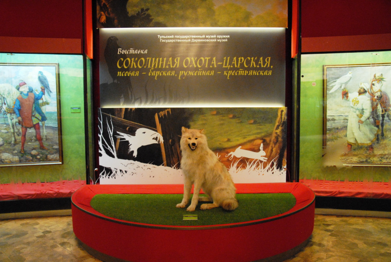 Выставка «Соколиная охота – царская, псовая – барская, ружейная – крестьянская» открыта! Тульский Государственный Музей Оружия
