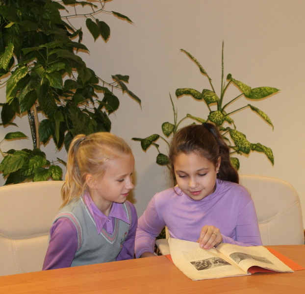 Библиотечно-информационный центр  «Оружие. Память. Патриотизм» Тульский Государственный Музей Оружия